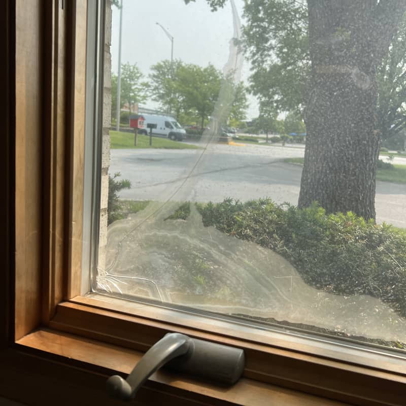 casement window glass replacement service