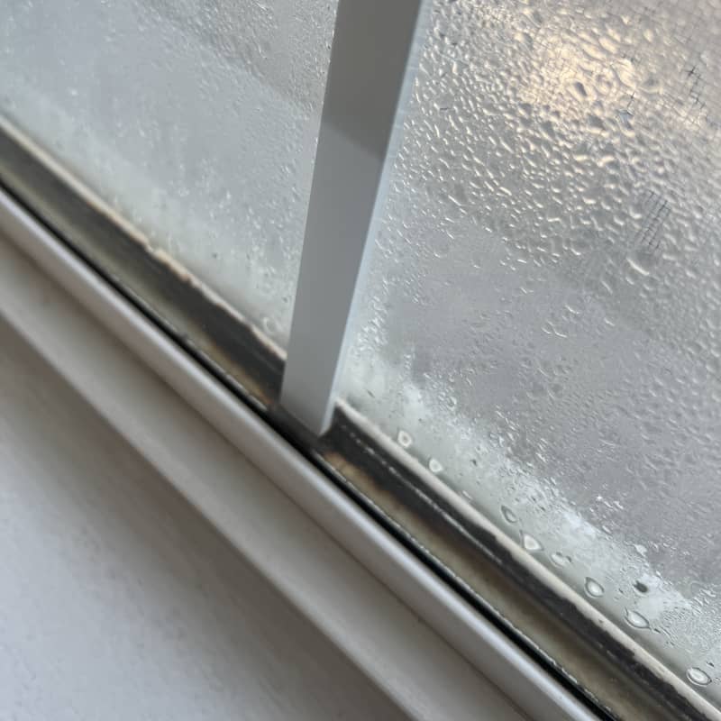 condensation between window panes service