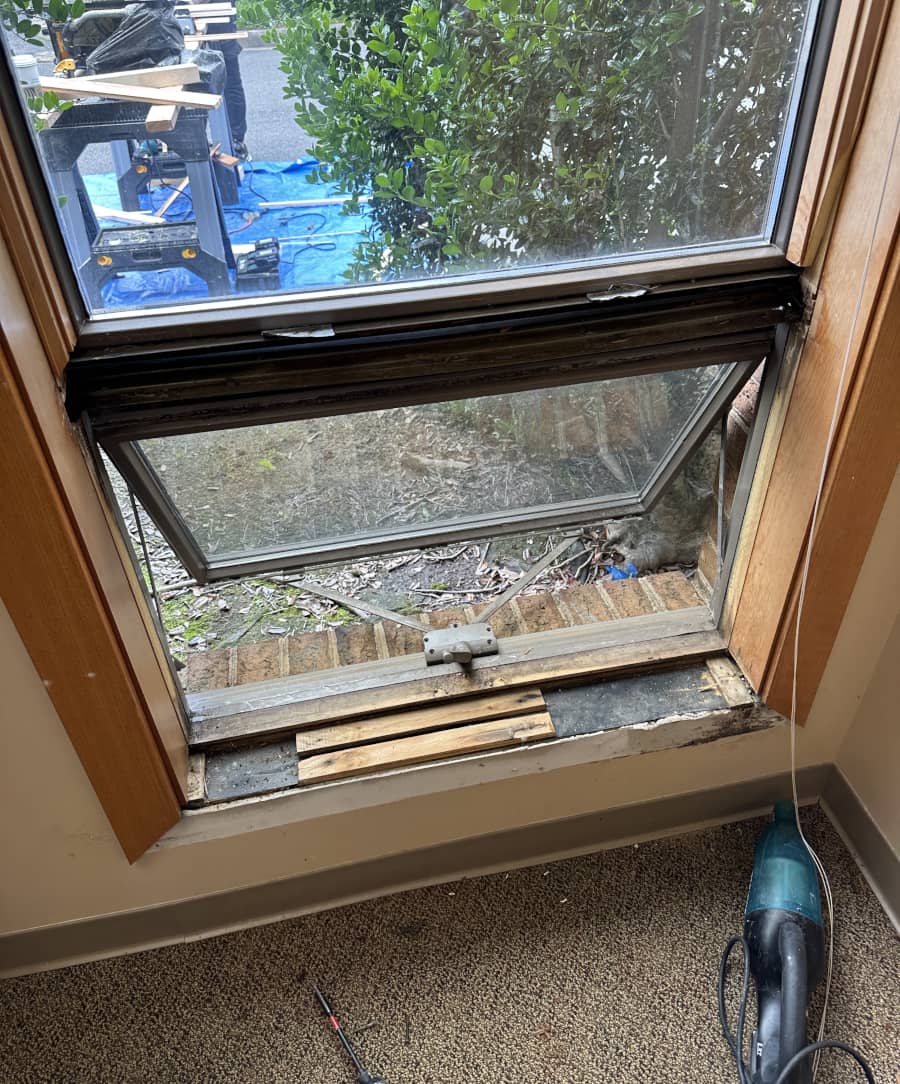 double hung window replacement service